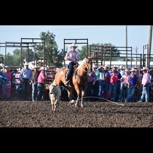 Meet your Posher, Murphy